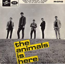 The Animals : The Animals Is Here